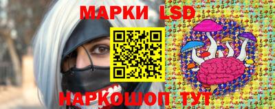 гидропоника Ирбит