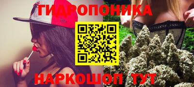 гидропоника Ирбит