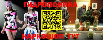 гидропоника Ирбит