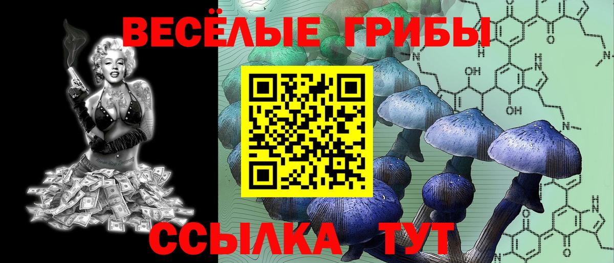 Псилоцибиновые грибы мицелий Ленинск-Кузнецкий